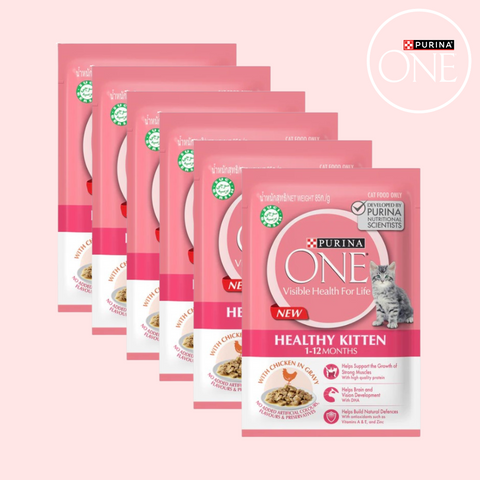 PURINA ONE® Healthy Kitten with Chicken in gravy pouch 70g